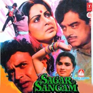 Sagar Sangam (1988) Album Cover