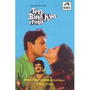 Tere Bina Kya Jeena (1989) Album Cover