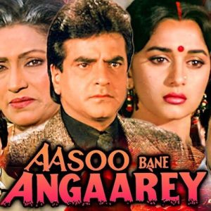 ANSOO BANE ANGAAREY (1993) Album Cover
