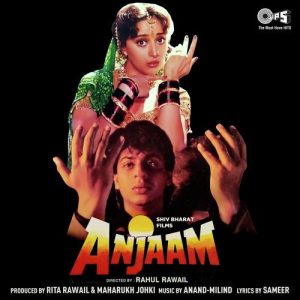 Anjaam (1994) Album Cover