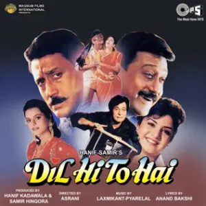 Dil Hi To Hai (1992) Album Cover