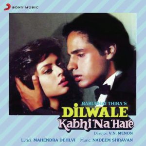 Dilwale Kabhi Na Hare (1992) Album Cover