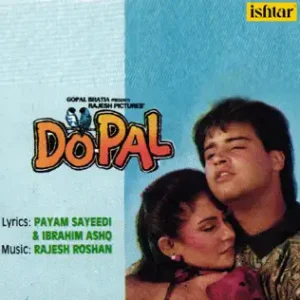 Do Pal (1991) Album Cover