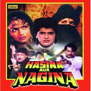 Hasina Aur Nagina (1996) Album Cover