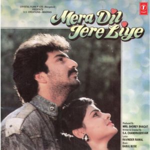 Mera Dil Tere Liye (1992) Album Cover