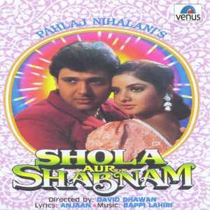 Shola Aur Shabnam (1992) Album Cover