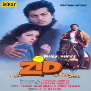 Zid (1994) Album Cover