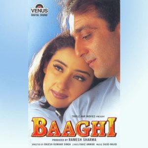 Baaghi (2000) Album Cover