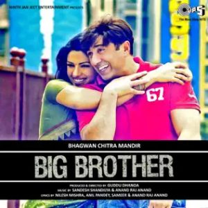 Big Brother (2007) Album Cover