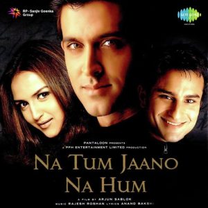 Na Tum Jaano Na Hum (2002) Album Cover