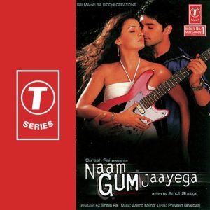 Naam Gum Jaayega (2005) Album Cover