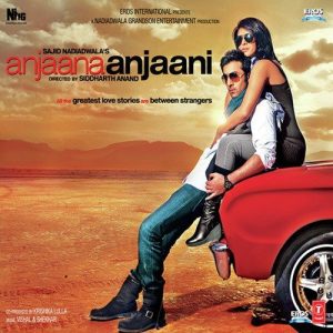 Anjaana Anjaani (2010) Album Cover