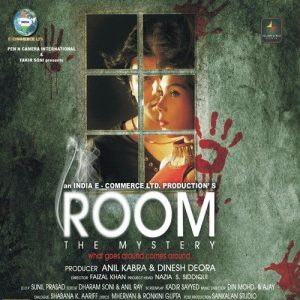 Room The Mystery (2014) Album Cover
