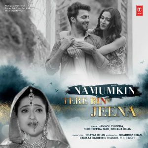 Namumkin Tere Bin Jeena (2020) Album Cover